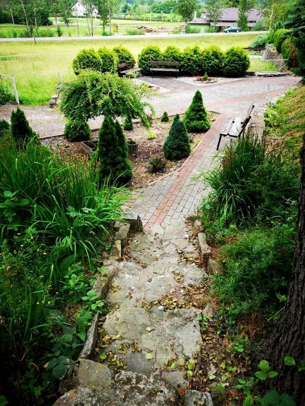 Lokal Chojnik. Zdjęcie 17