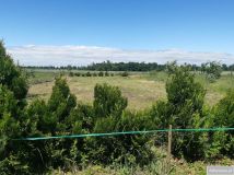 Działka rolna Sadków. Zdjęcie 1