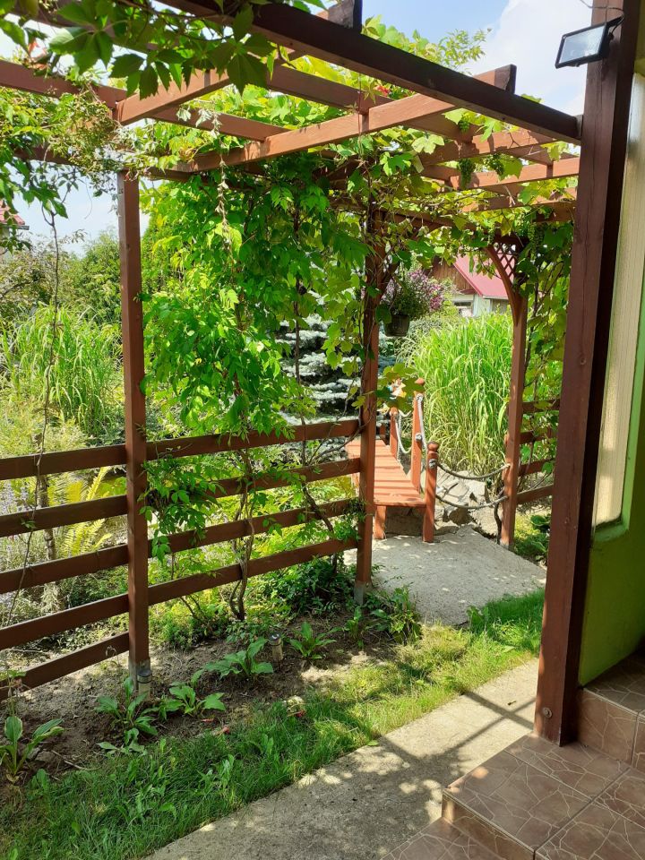 Działka rod Osiek. Zdjęcie 4