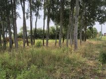 Działka budowlana Kampinos A. Zdjęcie 2