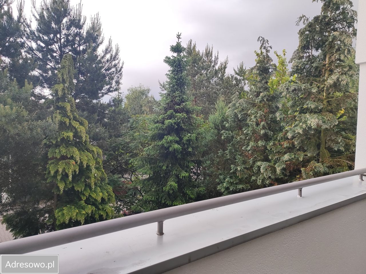 Mieszkanie 3-pokojowe Dąbrówka, ul. Wierzbowa. Zdjęcie 2