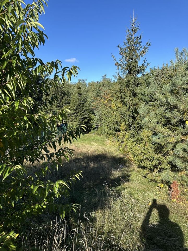 Działka rekreacyjna Dominice, ul. Jeziorna. Zdjęcie 7