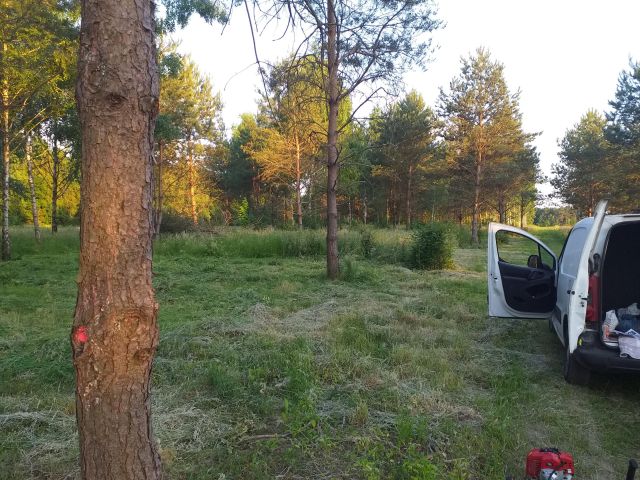 Działka budowlana Tłumy, Poprzeczna. Zdjęcie 1