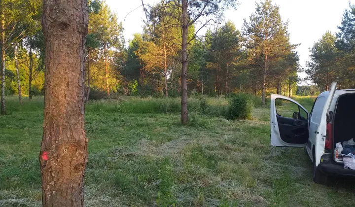 Działka budowlana Tłumy, Poprzeczna