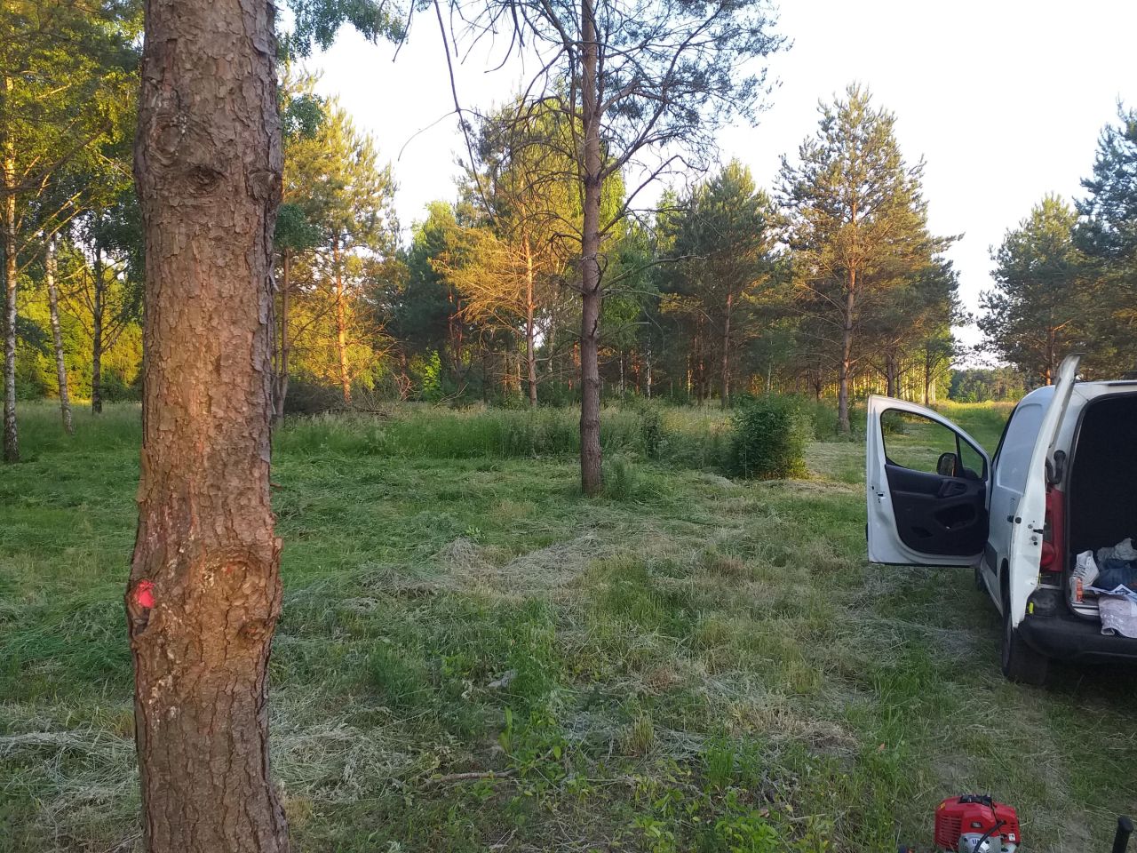 Działka budowlana Tłumy, Poprzeczna. Zdjęcie 1