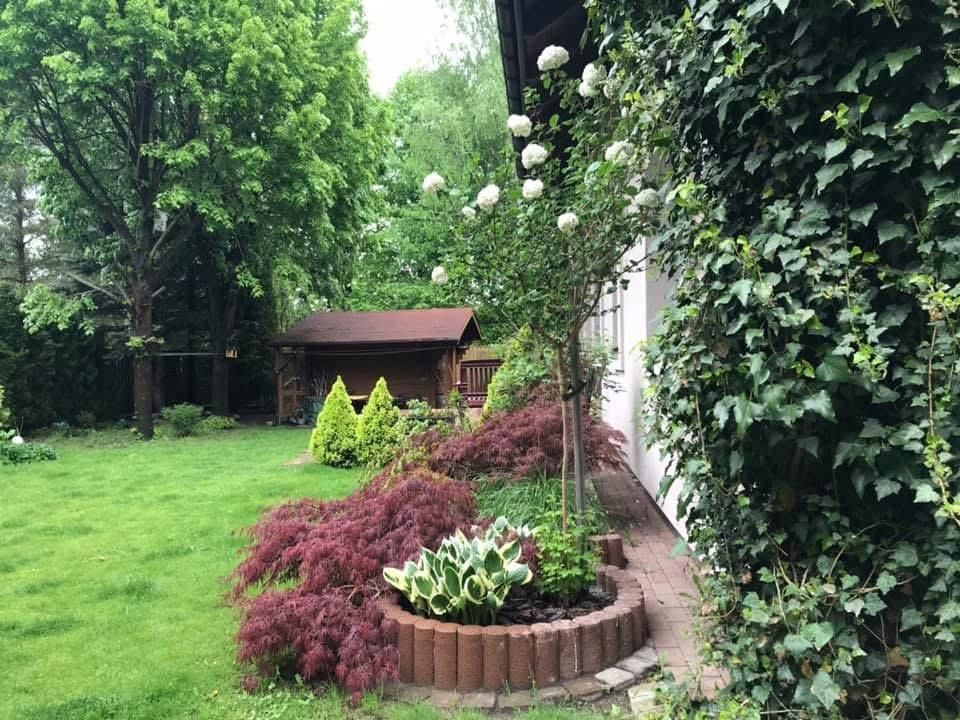 dom wolnostojący Wilcza Góra. Zdjęcie 7