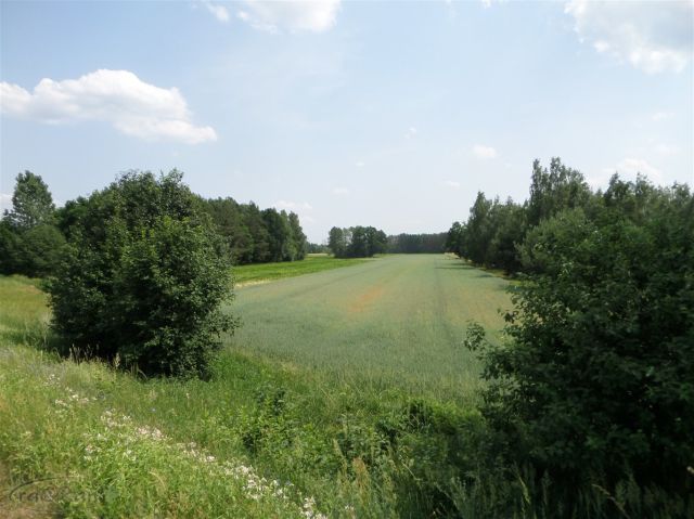 Działka budowlana Śladów. Zdjęcie 8