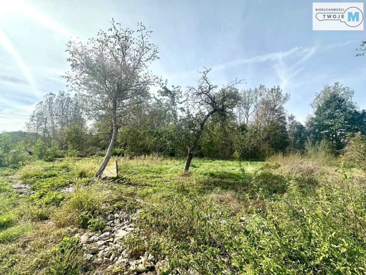 Działka rekreacyjna Morawica. Zdjęcie 10