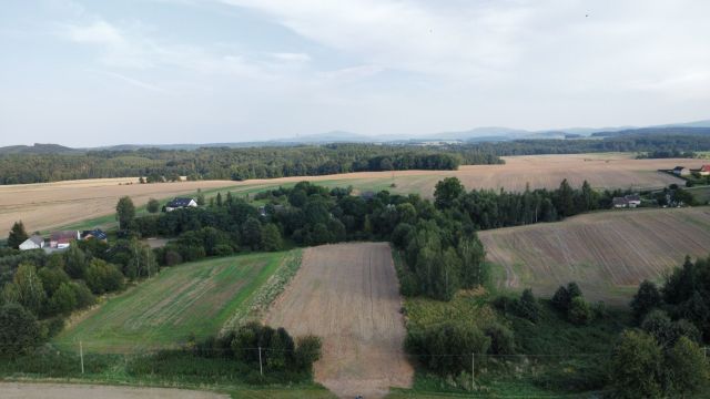 Działka rolna Jarnołtów. Zdjęcie 1