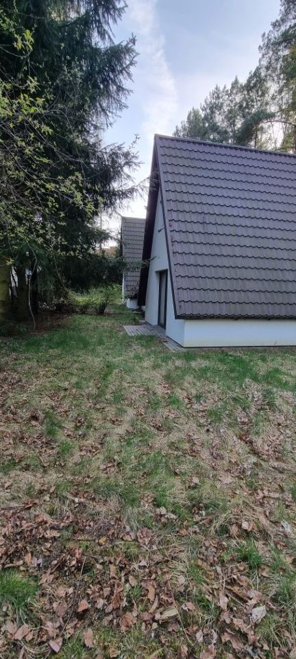 Działka rekreacyjna Rozpłucie Drugie. Zdjęcie 6