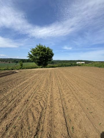 Działka rolna Żurawica Bażantarnia. Zdjęcie 1