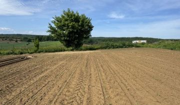 Działka rolna Żurawica Bażantarnia