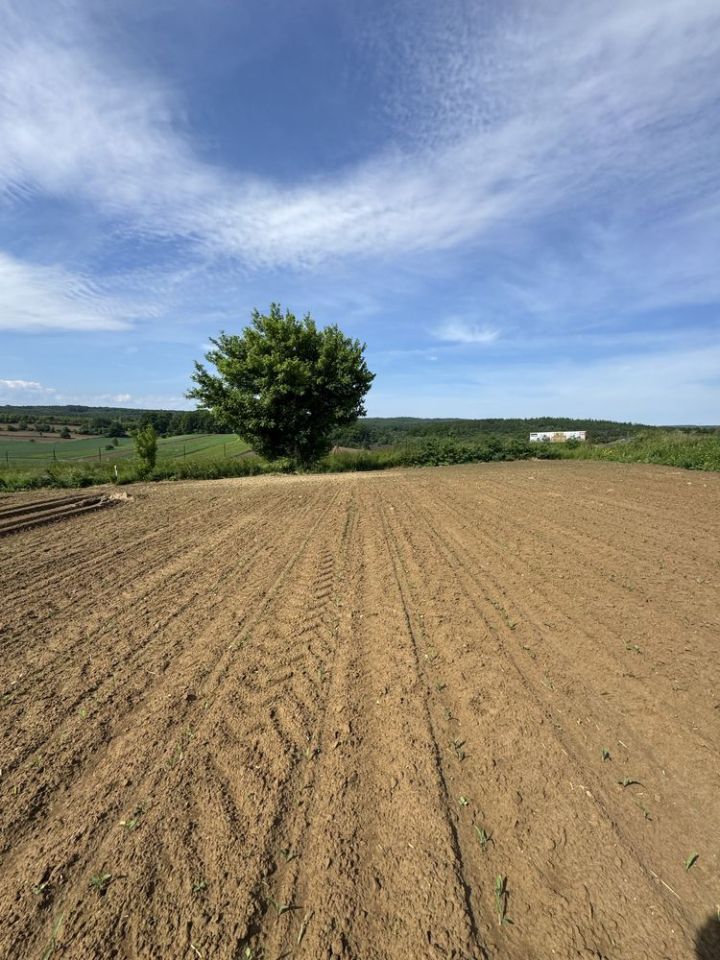 Działka rolna Żurawica Bażantarnia