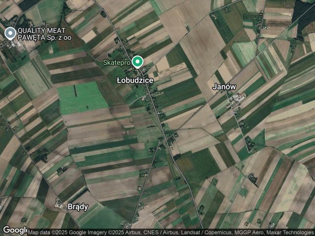 Działka leśna Łobudzice. Zdjęcie 1