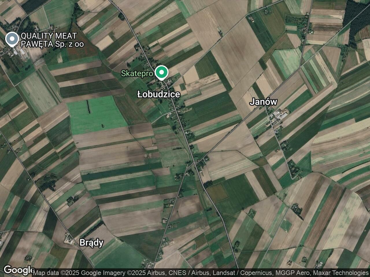 Działka leśna Łobudzice