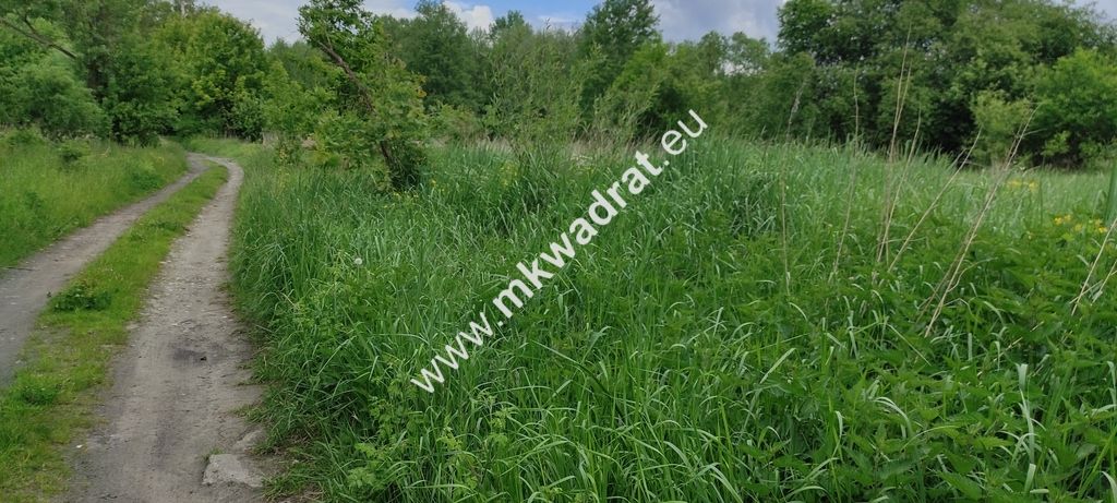 Działka budowlana Wólka. Zdjęcie 4