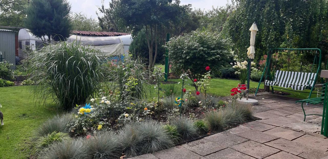 Działka rod Łódź Górna, ul. Pustynna. Zdjęcie 8