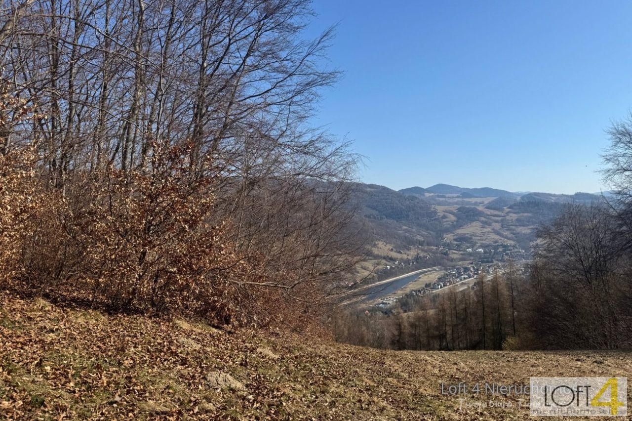 Działka budowlana Obłazy Ryterskie. Zdjęcie 14