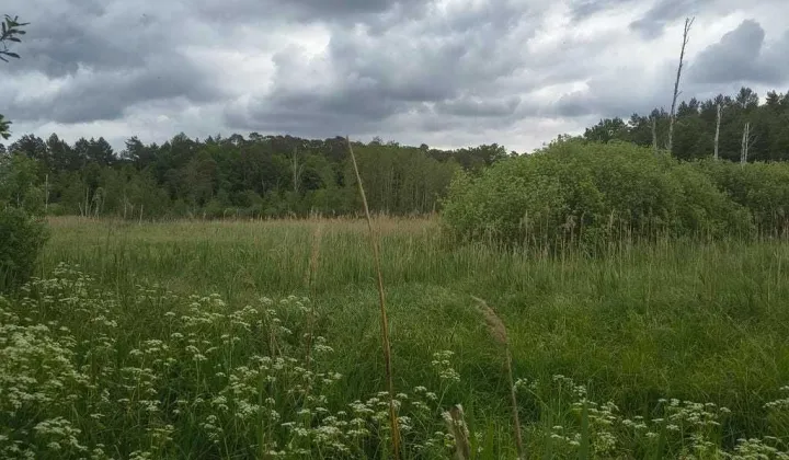 Działka rolna Fiałki
