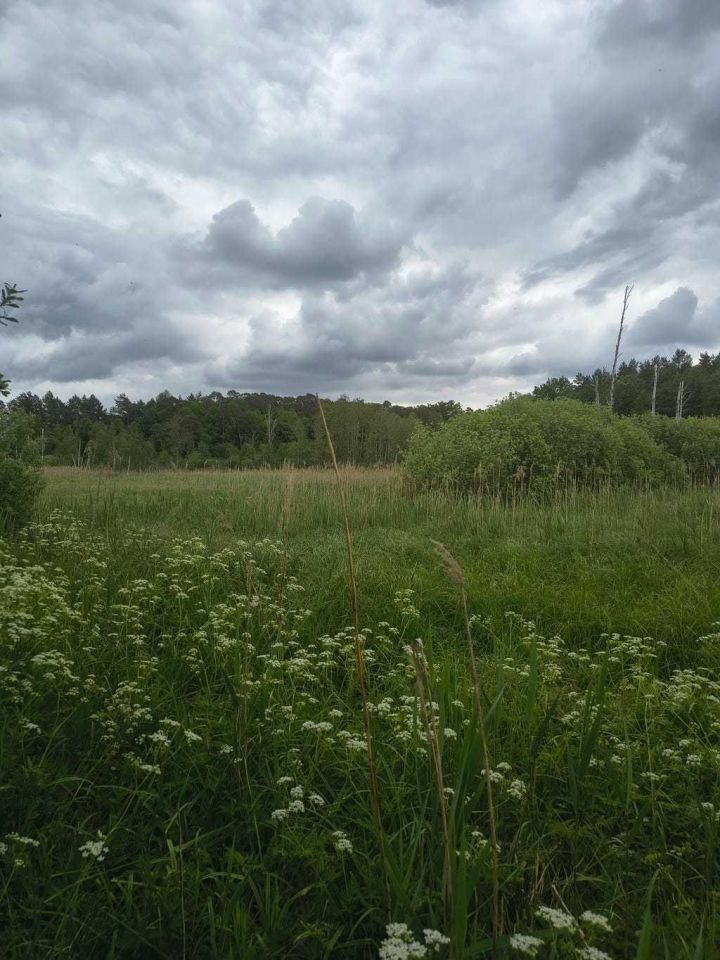 Działka rolna Fiałki. Zdjęcie 1