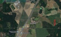 Działka leśna Wyszogóra. Zdjęcie 1