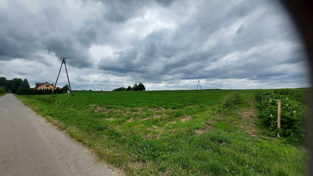 Działka rolno-budowlana Gorajec-Stara Wieś. Zdjęcie 6