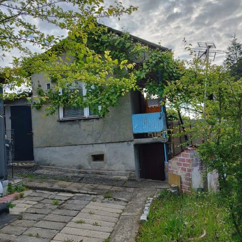 Działka rod Jastrzębie-Zdrój. Zdjęcie 1