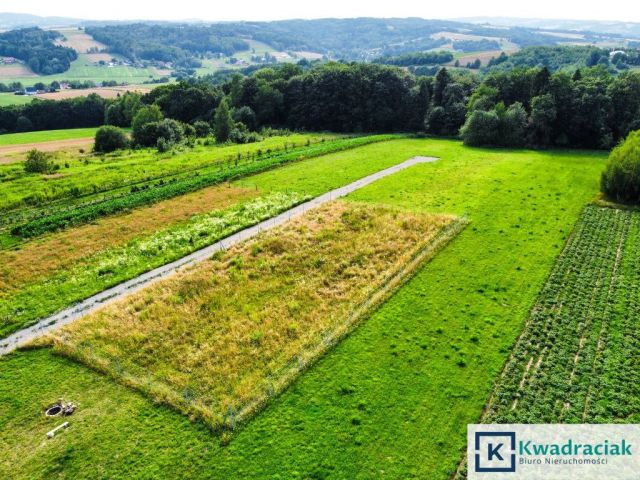 Działka budowlana Wielopole Skrzyńskie. Zdjęcie 4