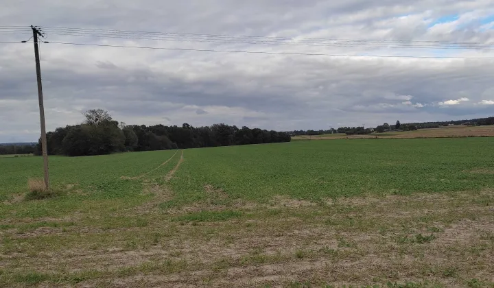 Działka budowlana Strzyżewice