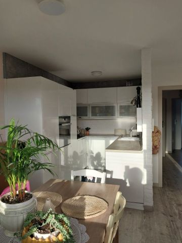 Mieszkanie 3-pokojowe Żory, os. Korfantego. Zdjęcie 1