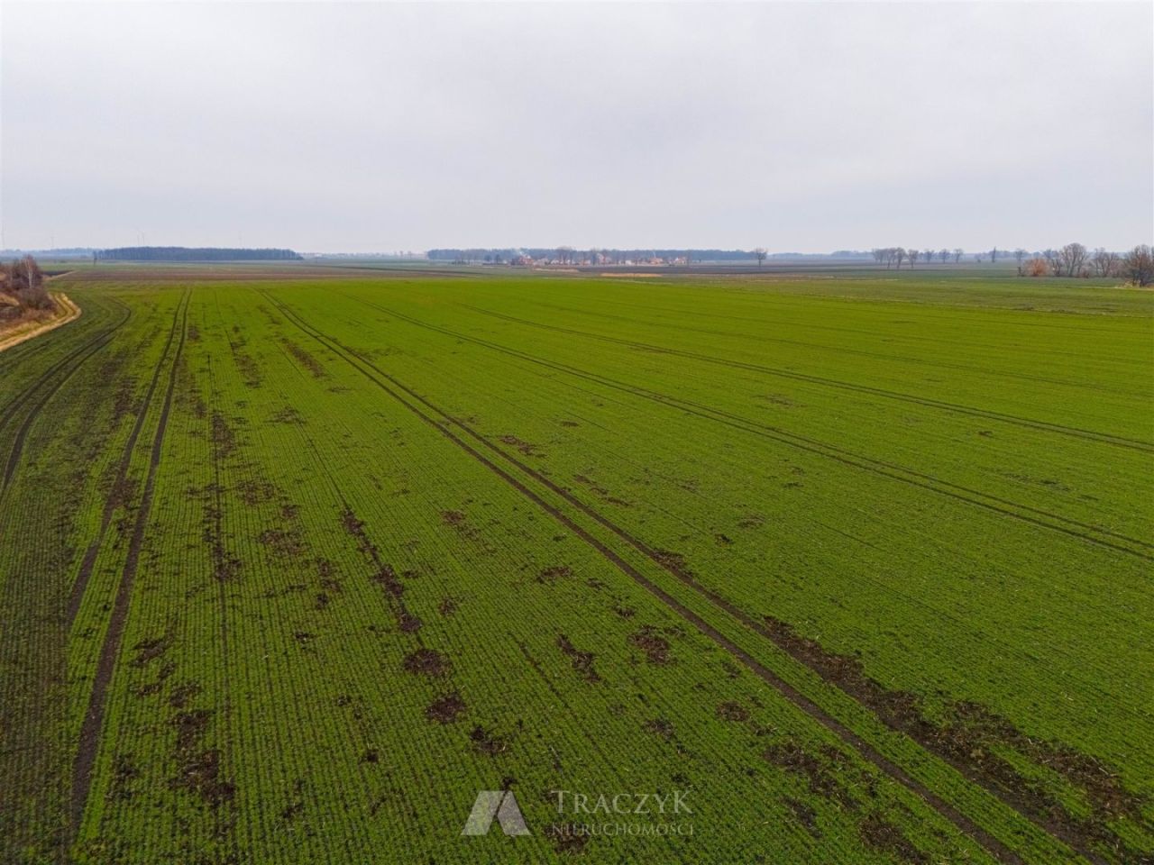 Działka rolna Rusko. Zdjęcie 13