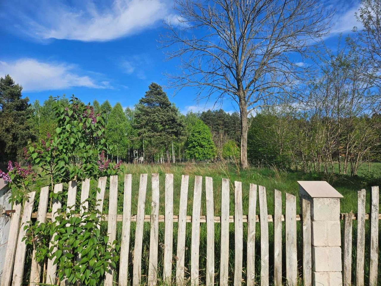 Działka rekreacyjna Lejno. Zdjęcie 6