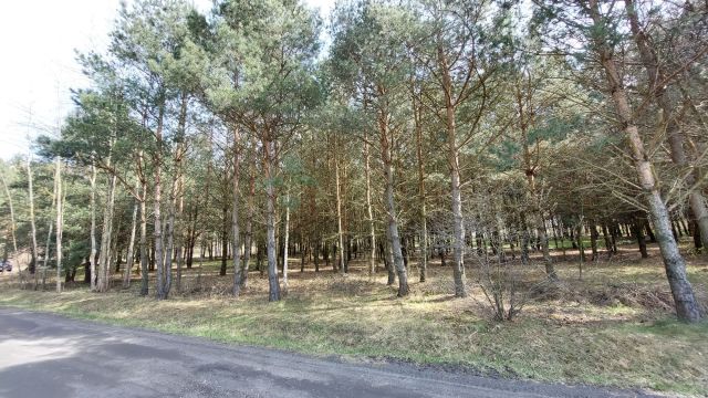 Działka rolna Niecenia. Zdjęcie 1