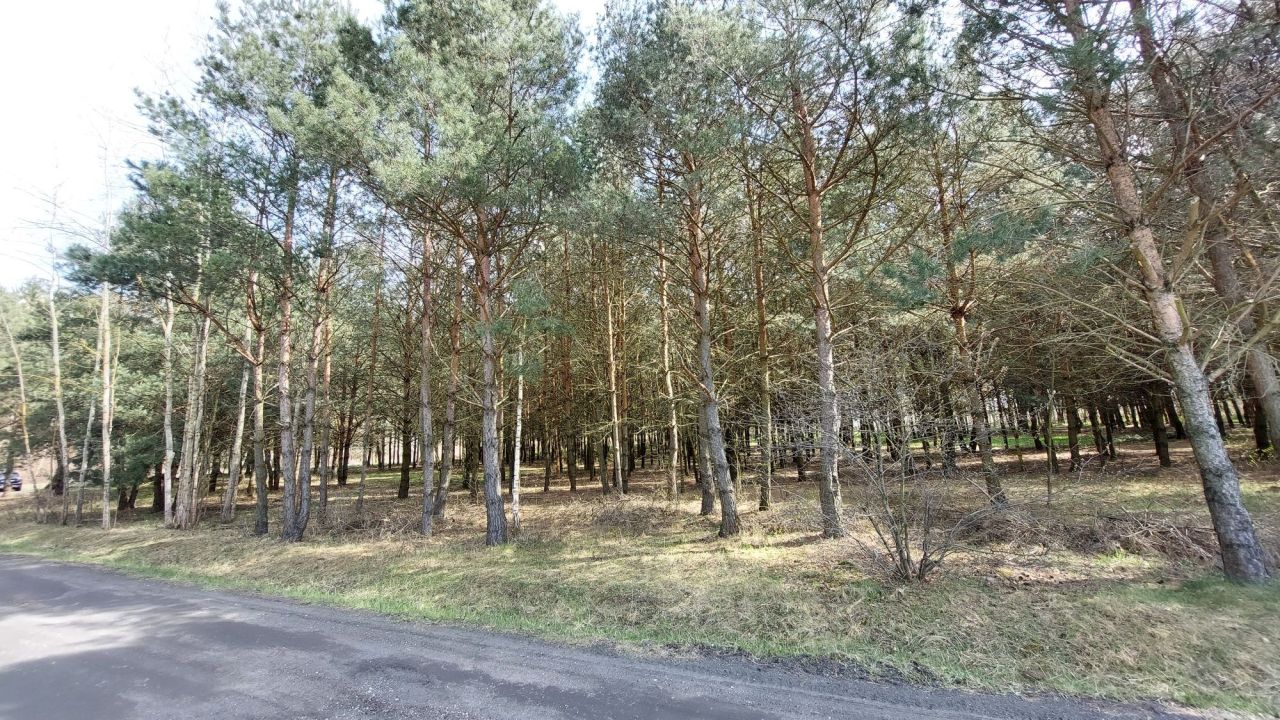 Działka rolna Niecenia