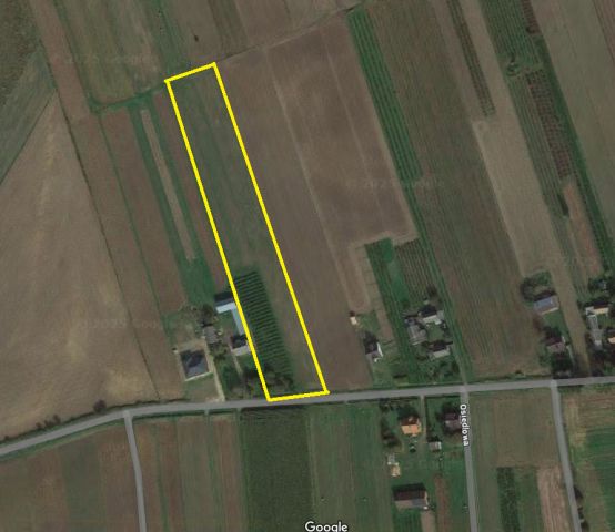 Działka rolno-budowlana Stojeszyn Drugi Dwór. Zdjęcie 1