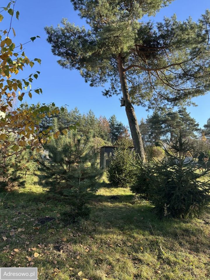 Działka budowlana Orzesze, ul. Klonowa. Zdjęcie 3