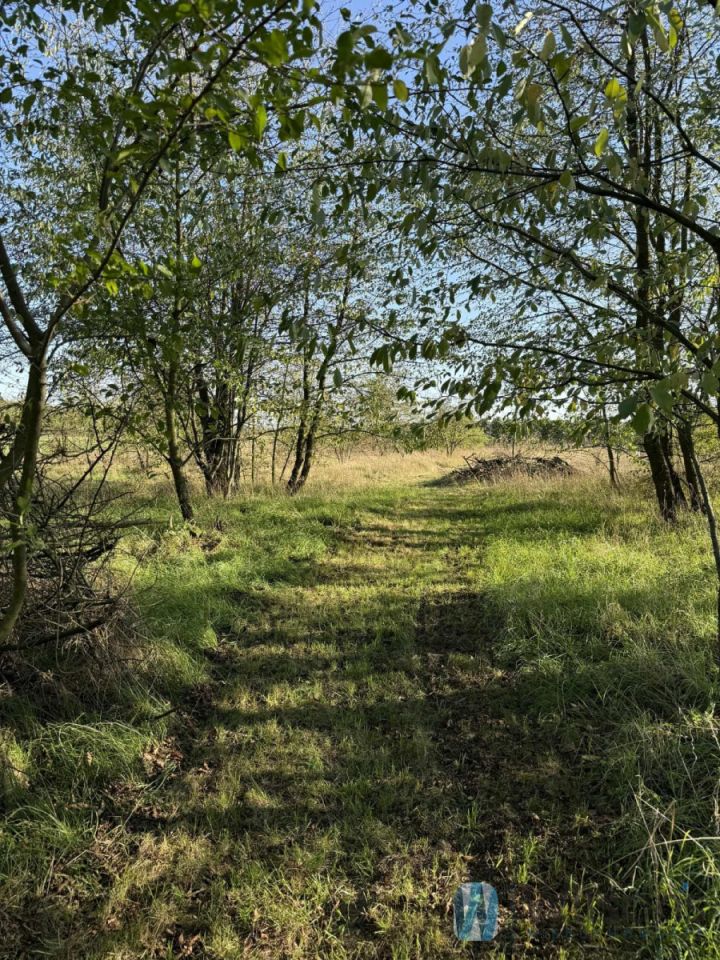 dom wolnostojący, 2 pokoje Sobienie Szlacheckie. Zdjęcie 8