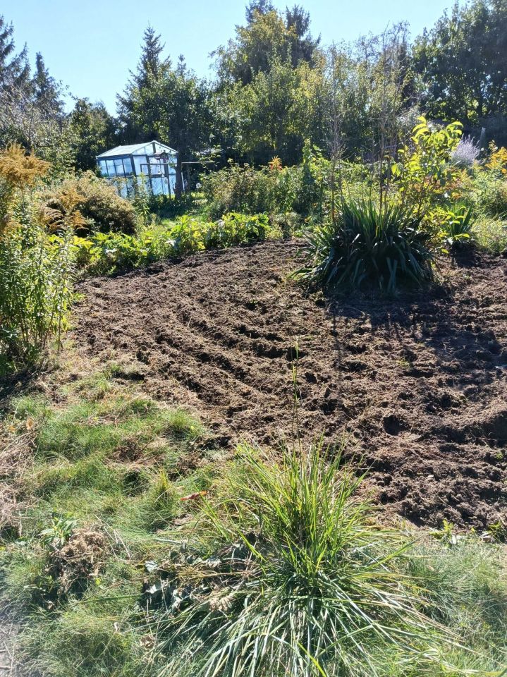 Działka rod Tczew, ul. Fabryczna. Zdjęcie 4