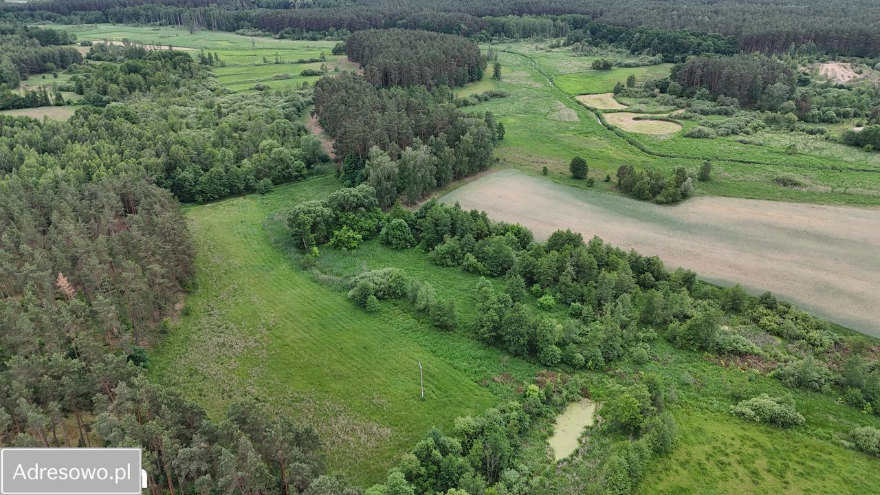 Działka rolna Gorczeniczka. Zdjęcie 8