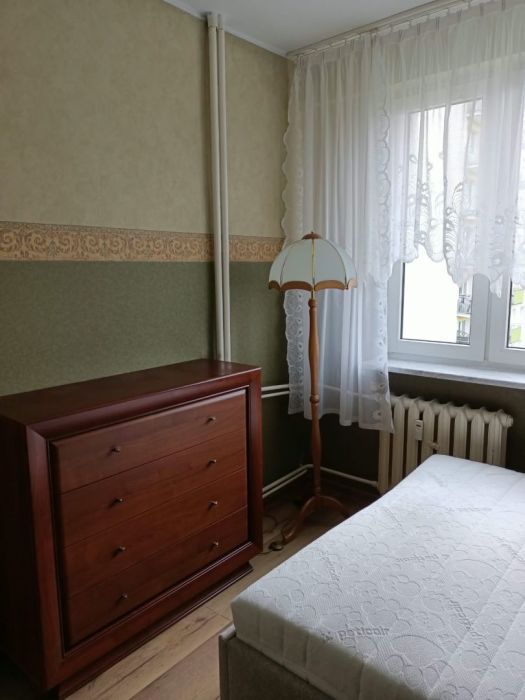 Zdjęcie 8