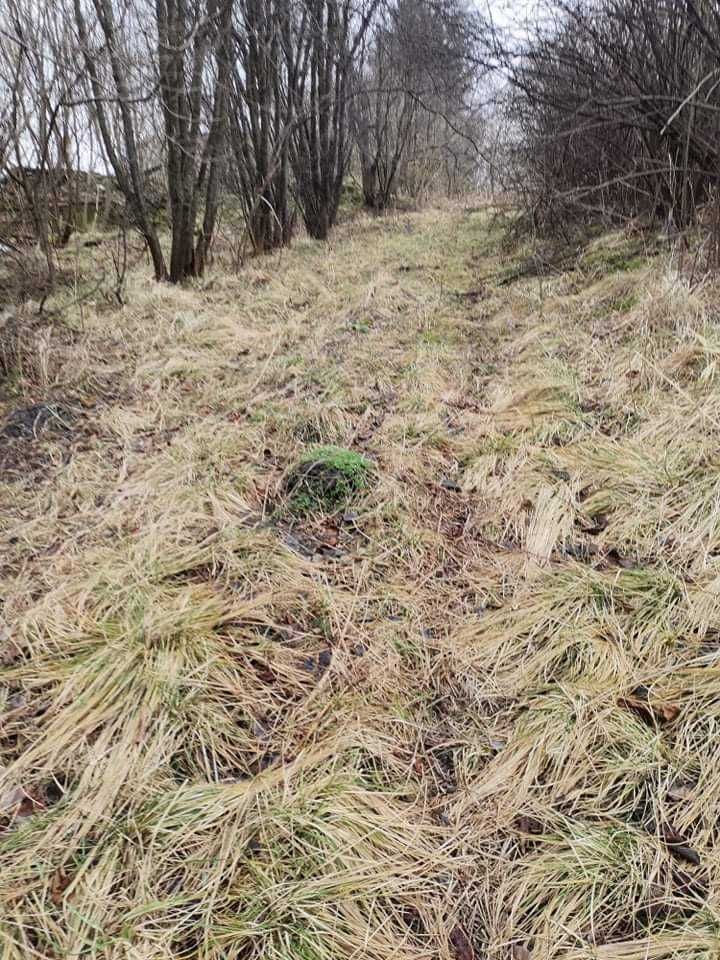 Działka budowlana Łępno. Zdjęcie 2