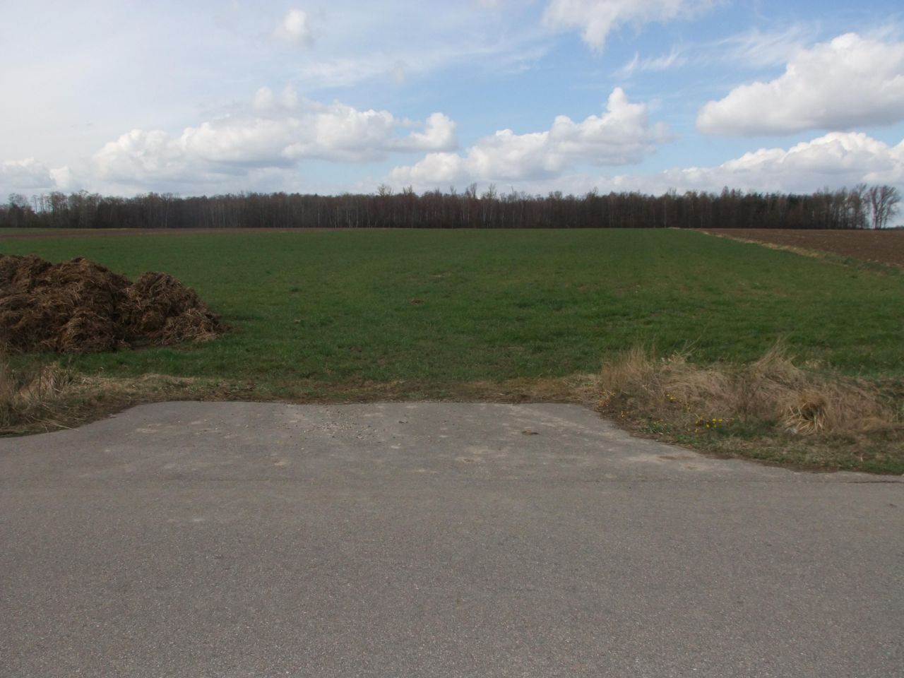 Działka rolno-budowlana Przeździecko-Drogoszewo. Zdjęcie 3