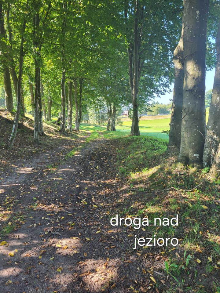 Działka budowlana Wielin. Zdjęcie 9