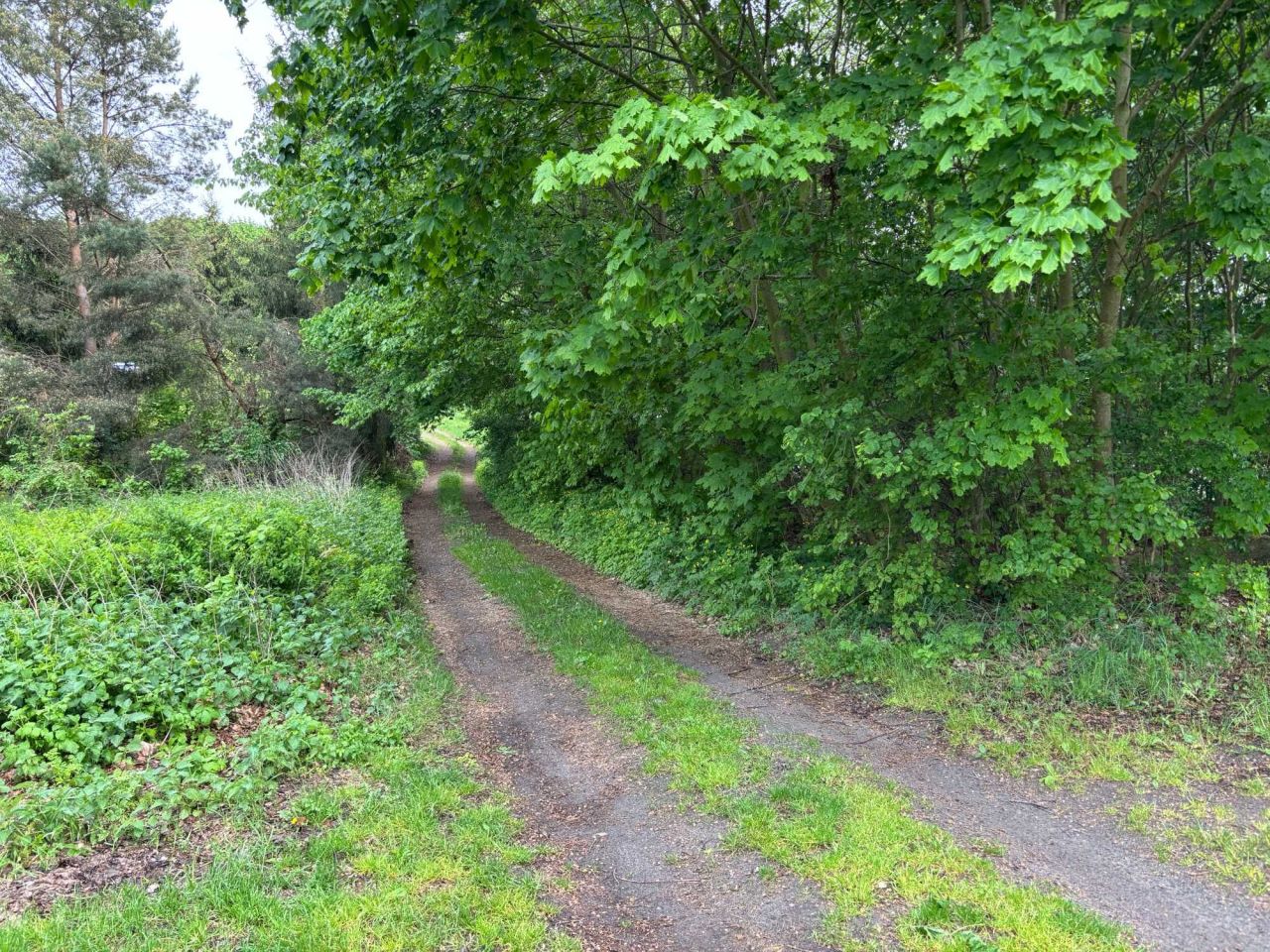 Działka rekreacyjna Trupel. Zdjęcie 6