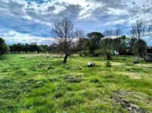 Działka budowlana Zabielne. Zdjęcie 4