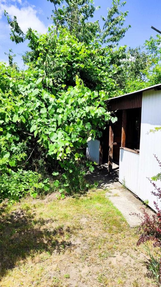 Działka rod Kędzierzyn-Koźle Kuźniczka. Zdjęcie 8