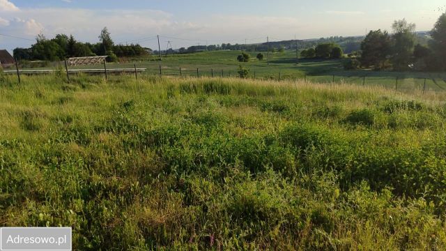 Działka budowlana Pelplin, ul. Wybudowanie. Zdjęcie 1