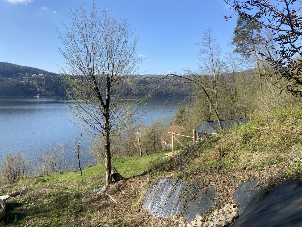 Działka leśna Rożnów Wiesiółka. Zdjęcie 9