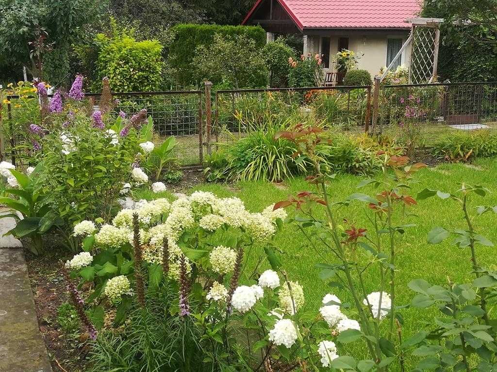 Działka rod Wronki. Zdjęcie 8