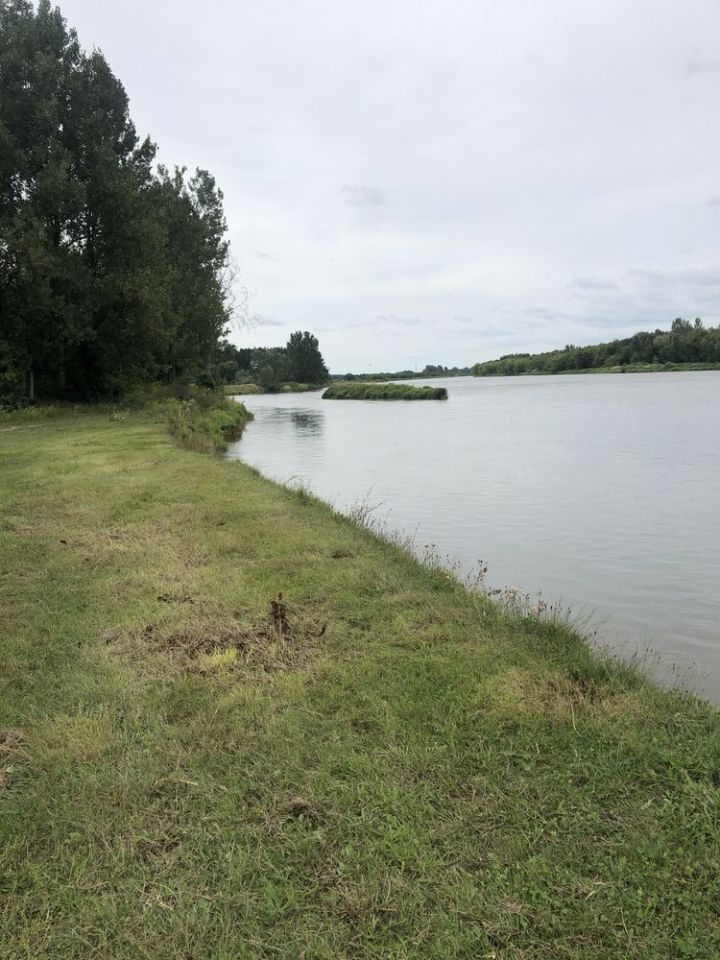 Działka rekreacyjna Gulczewo, ul. Topolowa. Zdjęcie 2